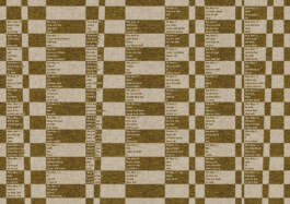 thE physicaL spherE oF studiO immO schneideR