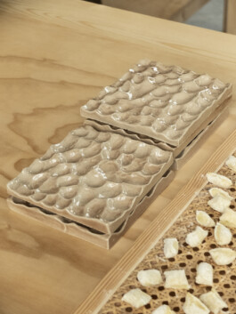 thE physicaL spherE oF studiO immO schneideR