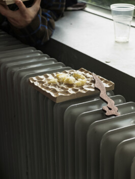 thE physicaL spherE oF studiO immO schneideR