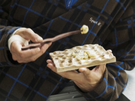 thE physicaL spherE oF studiO immO schneideR