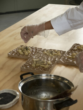 thE physicaL spherE oF studiO immO schneideR