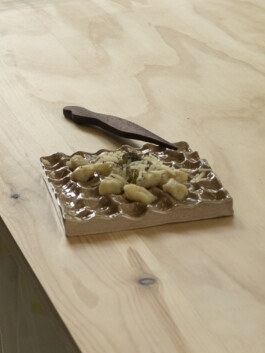 thE physicaL spherE oF studiO immO schneideR