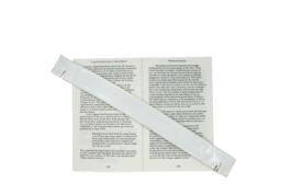 thE physicaL spherE oF studiO immO schneideR