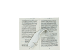 thE physicaL spherE oF studiO immO schneideR