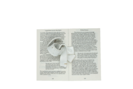 thE physicaL spherE oF studiO immO schneideR