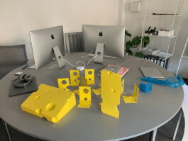 thE physicaL spherE oF studiO immO schneideR