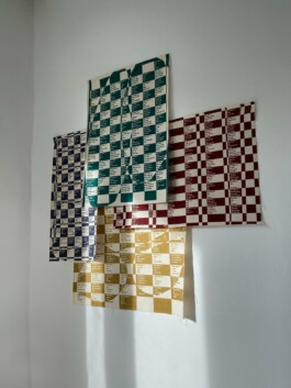 thE physicaL spherE oF studiO immO schneideR