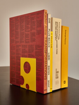 thE physicaL spherE oF studiO immO schneideR