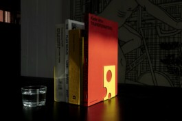 thE physicaL spherE oF studiO immO schneideR