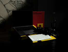 thE physicaL spherE oF studiO immO schneideR