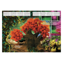 thE physicaL spherE oF studiO immO schneideR