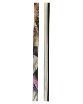 thE physicaL spherE oF studiO immO schneideR