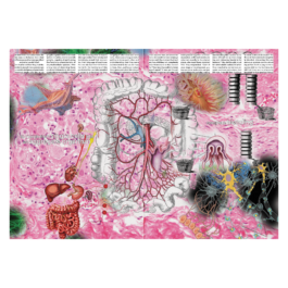 thE physicaL spherE oF studiO immO schneideR