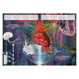 thE physicaL spherE oF studiO immO schneideR