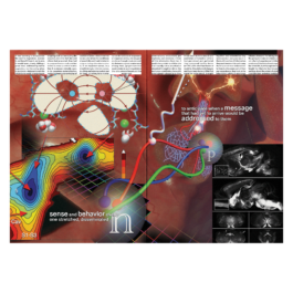 thE physicaL spherE oF studiO immO schneideR