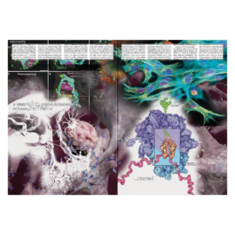 thE physicaL spherE oF studiO immO schneideR