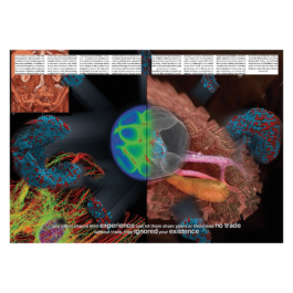 thE physicaL spherE oF studiO immO schneideR