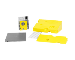 thE physicaL spherE oF studiO immO schneideR