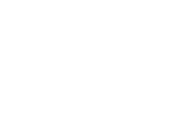 thE physicaL spherE oF studiO immO schneideR