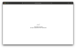 thE physicaL spherE oF studiO immO schneideR