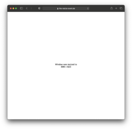 thE physicaL spherE oF studiO immO schneideR