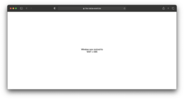 thE physicaL spherE oF studiO immO schneideR